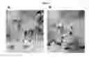 Fig. 03 - Modified antibody compositions, methods of making and using thereof