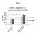 Fig. 06 - Modified antibody compositions, methods of making and using thereof