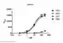Fig. 24 - Modified antibody compositions, methods of making and using thereof
