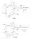Fig. 02 - High purity lipopeptides