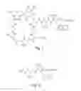 Fig. 05 - High purity lipopeptides