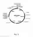 Fig. 04 - Methods for producing hyaluronan in a recombinant host cell