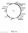 Fig. 14 - Methods for producing hyaluronan in a recombinant host cell