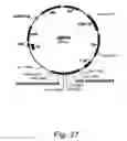 Fig. 28 - Methods for producing hyaluronan in a recombinant host cell