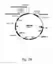 Fig. 29 - Methods for producing hyaluronan in a recombinant host cell
