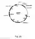 Fig. 30 - Methods for producing hyaluronan in a recombinant host cell