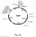 Fig. 34 - Methods for producing hyaluronan in a recombinant host cell