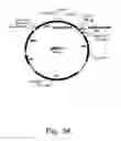 Fig. 35 - Methods for producing hyaluronan in a recombinant host cell