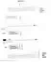 Fig. 10 - Methods and compositions for amplification of RNA sequences