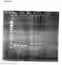 Fig. 19 - Methods and compositions for amplification of RNA sequences