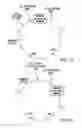 Fig. 02 - Methods and compositions for seamless cloning of nucleic acid molecules