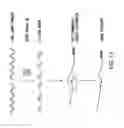 Fig. 22 - Methods and compositions for seamless cloning of nucleic acid molecules