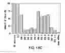 Fig. 28 - Methods and compositions for seamless cloning of nucleic acid molecules