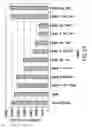 Fig. 34 - Methods and compositions for seamless cloning of nucleic acid molecules