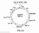 Fig. 44 - Methods and compositions for seamless cloning of nucleic acid molecules