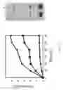 Fig. 08 - Transformant comprising gene coding for ws/dgat and method of producing fatty acid ethyl esters using the same