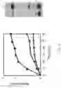 Fig. 09 - Transformant comprising gene coding for ws/dgat and method of producing fatty acid ethyl esters using the same