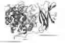 Fig. 01 - Glucoamylase variants with altered properties