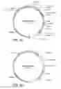 Fig. 05 - Glucoamylase variants with altered properties
