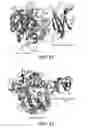 Fig. 17 - Glucoamylase variants with altered properties