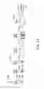 Fig. 04 - Cell for preparing competent cell, method for preparing competent cell and bacterial strain of 