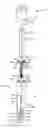 Fig. 01 - Biological sterilization indicator and method of using same