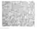 Fig. 01 - DIFFERENTIATION PROCESS OF MESENCHYMAL STEM CELLS AND THERAPEUTIC USE THEREOF