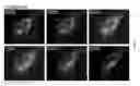 Fig. 07 - METHODS AND KITS FOR REGULATING INTRACELLULAR TRAFFICKING OF A TARGET PROTEIN