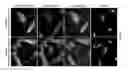 Fig. 09 - METHODS AND KITS FOR REGULATING INTRACELLULAR TRAFFICKING OF A TARGET PROTEIN