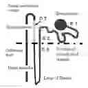 Fig. 01 - PROCESS FOR PRODUCTION OF BIOARTIFICIAL ORGAN