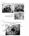 Fig. 09 - PROCESS FOR PRODUCTION OF BIOARTIFICIAL ORGAN