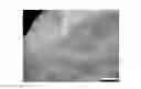 Fig. 01 - Porous polymer scaffolds for neural tissue engineering and methods of producing the same