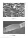Fig. 29 - Porous polymer scaffolds for neural tissue engineering and methods of producing the same