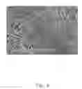 Fig. 03 - Method for making nerve graft
