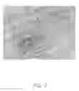 Fig. 08 - Method for making nerve graft