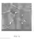 Fig. 12 - Method for making nerve graft