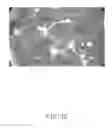 Fig. 13 - Method for making nerve graft