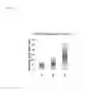 Fig. 06 - Cellulose degradable yeast and method for production thereof