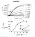 Fig. 04 - Nucleic acid based fluorescent sensor for mercury detection