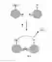 Fig. 02 - ASSAYS AND ASSAY DEVICES