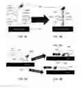 Fig. 04 - Low cost, portable sensor for molecular assays