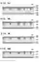 Fig. 07 - Method for isolation formation in manufacturing semiconductor device
