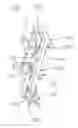 Fig. 01 - TERMINAL STRUCTURE AND ELECTRICAL CONNECTOR USING THE SAME
