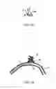 Fig. 19 - Life preserver