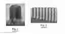 Fig. 02 - Abrasive article with array of composite polishing pads