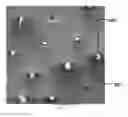 Fig. 01 - CHEMICAL MECHANICAL PLANARIZATION (CMP) PAD CONDITIONER AND METHOD OF MAKING