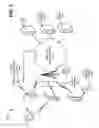 Fig. 03 - Detecting mobile device usage within wireless networks
