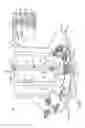 Fig. 02 - Rider-controlled swing ride