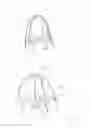 Fig. 05 - Ball Net with Basket