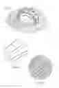 Fig. 03 - Game ball having optimally positioned grooves and/or ridges